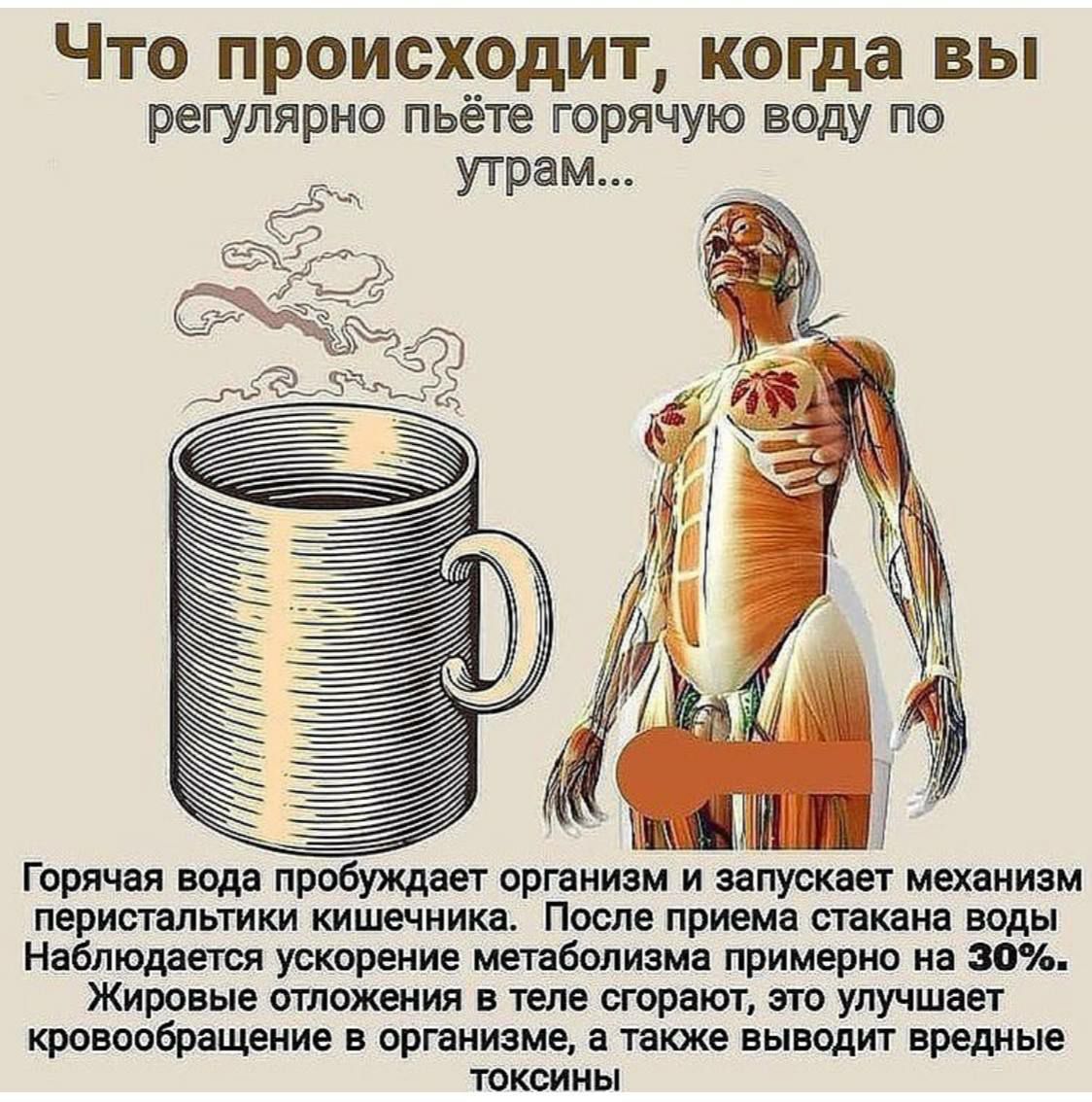 ЧТО ПРОИСХОДИТ когда ВЫ регулярно пьёте горячую воду по утрам Горячая вода пробуждает органи и ппупкш механим перистлыики кишечника После приема стакана воды Наблюдается ускорение мешболиямн примерно на Жировые отложения теле сгорит это улучшает кровообращение в организме в также выводиг вредиые ТОКОИМЫ