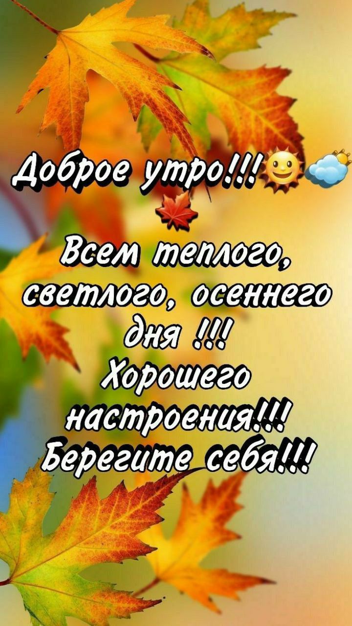 г __ ВсеАжажа светлогоо ОССННСЗО