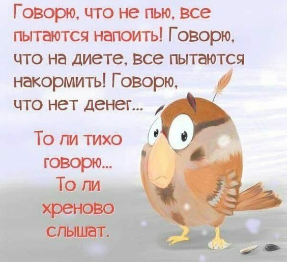 Говорю что не пью все пытаются напоить Говорю что на диете все пытаются накормить Говорю и что нет денег То пи тихо