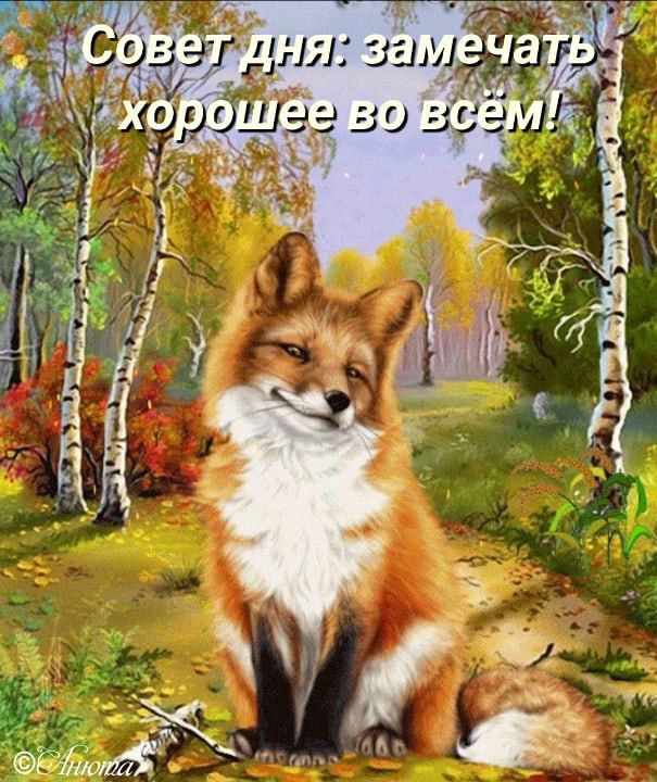 шт и 1419 51 у