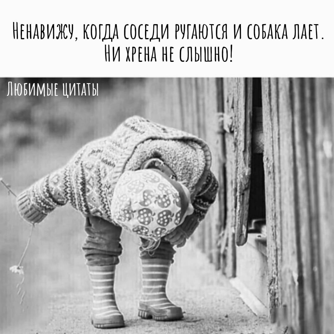 НЕНАВИЖУ КОГДА МЕДИ РЛАЮЦЯ И СОБАКА ЛШ НИ ХРЕНА НЕ ЛЫШНШ