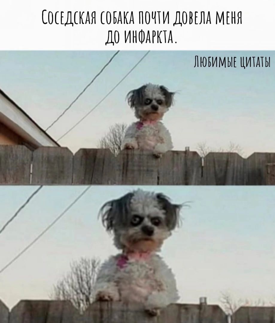 ЕШЕЩКАН ПБАКА ПОПИ ДОВЕЛА МЕНЯ ДО ИНФАРКЫ пювимыг цишы