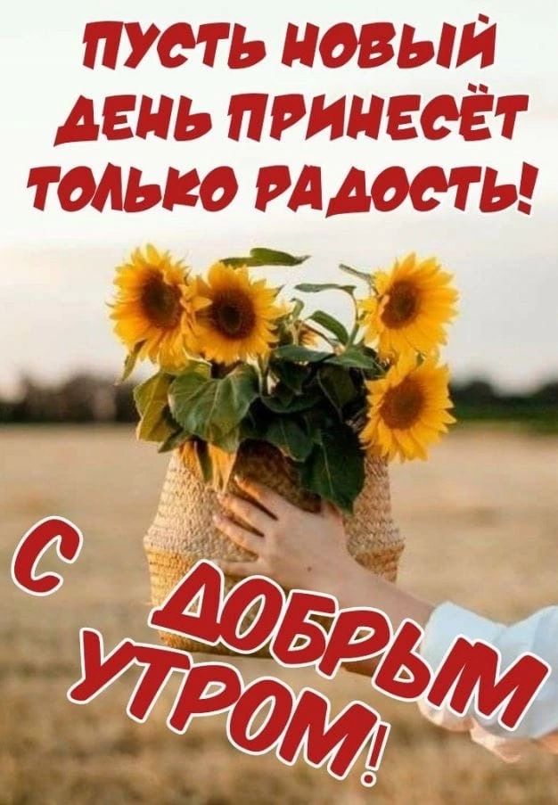 НЁЫЬЁ ИНЁЫЁТ