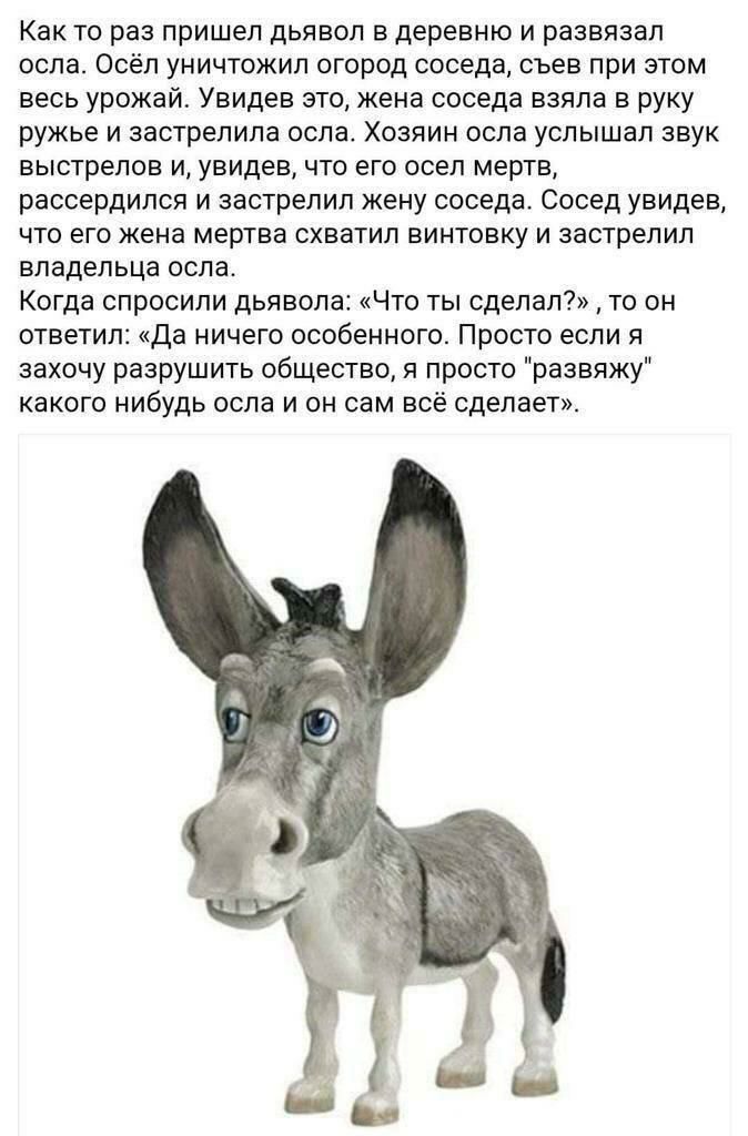 Как то раз пришел дьявол в деревню и развязал пела Осёп уничтожил огород соседа съев при этом весь урожаи Увидев это жена соседа взяла в руку ружье и застрелилв осла Хозяин осла услышал звук выстрелов иувидев что его осел мертв рассердился и застрелил жену соседа Сосед увидев что его жена мертва схватил винтовку и застрелил владельца осла Когда опросили дьявола Что ты сделал то он ответил да ничег