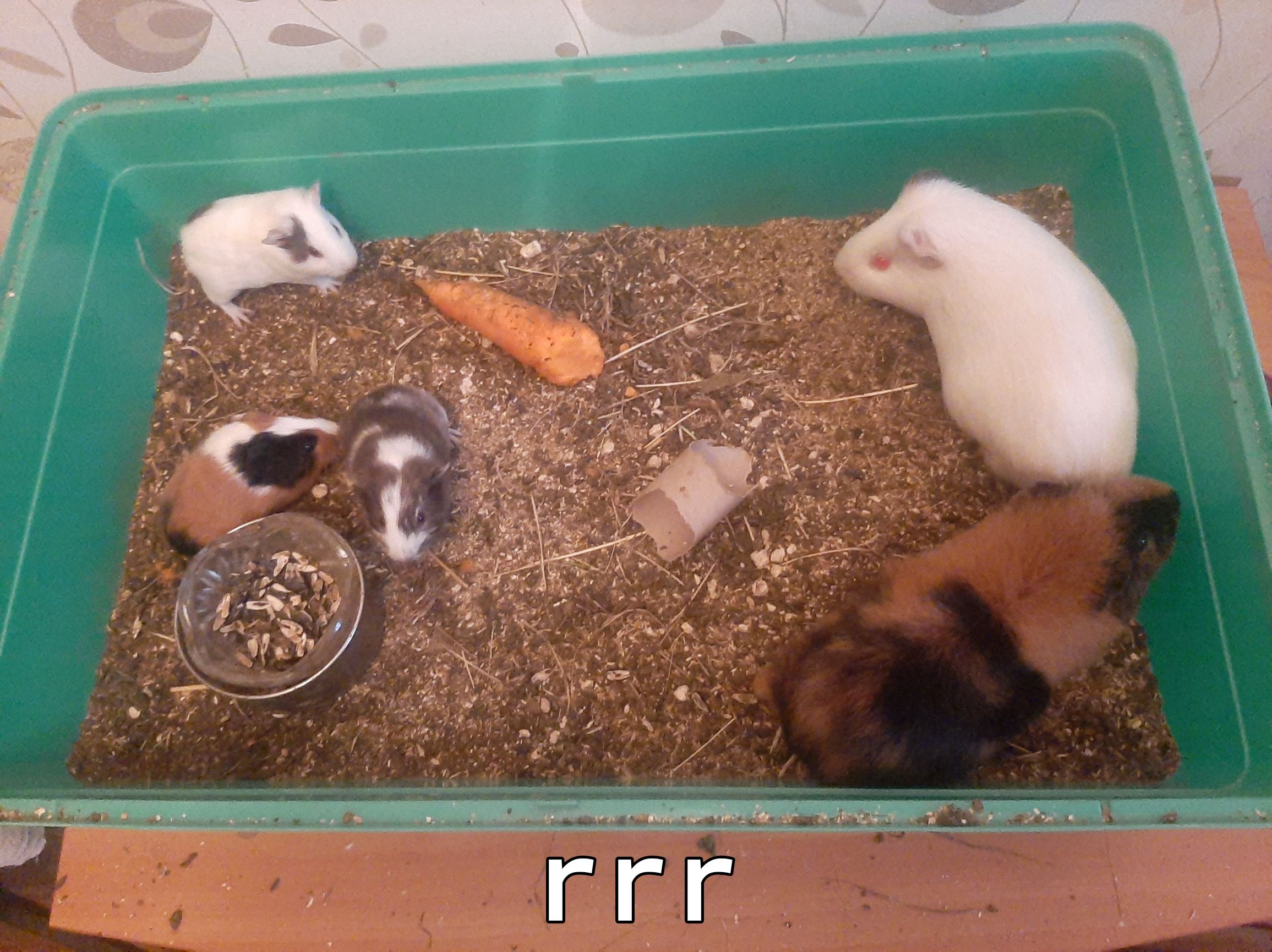 _ _ _ _ к __х Едч а тьцтяшммггыь 4 пи ч Мщм5д