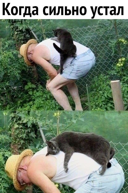 огда сильно устал