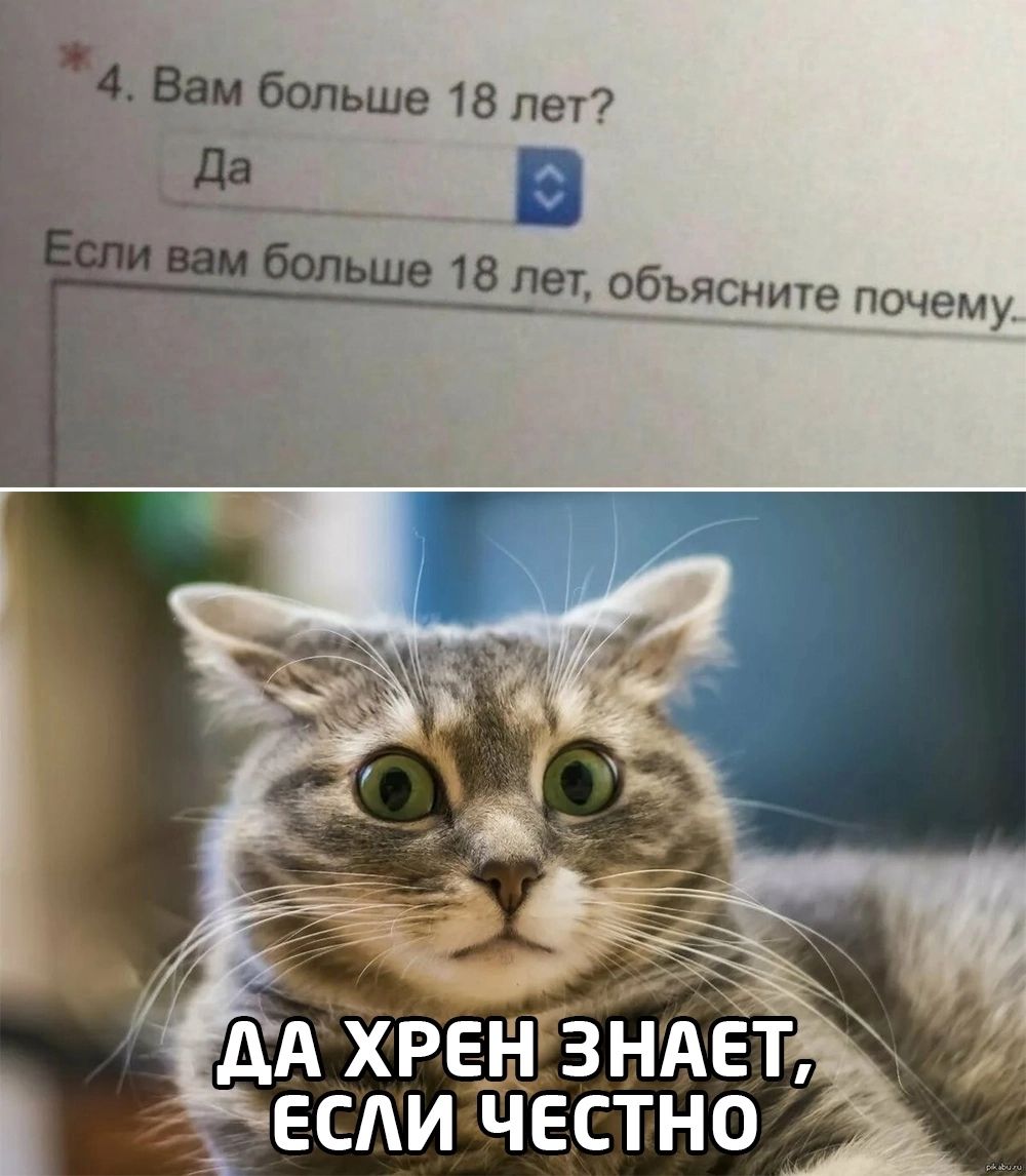 Ввибольше 18 лет пдд