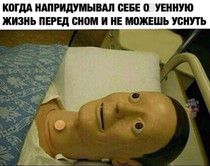 КОГДА НАПРИДУМЫВАЛ СЕБЕ 0 УЕННУЮ ЖИЗНЬ ПЕРЕД СНОМ И НЕ МОЖЕШЬ УСНУТЬ