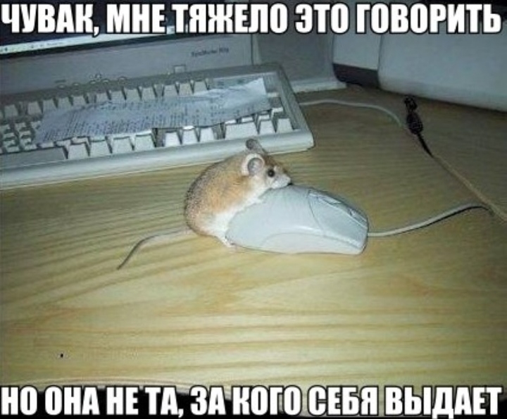 ЧУПП мннтжню это творить кпп