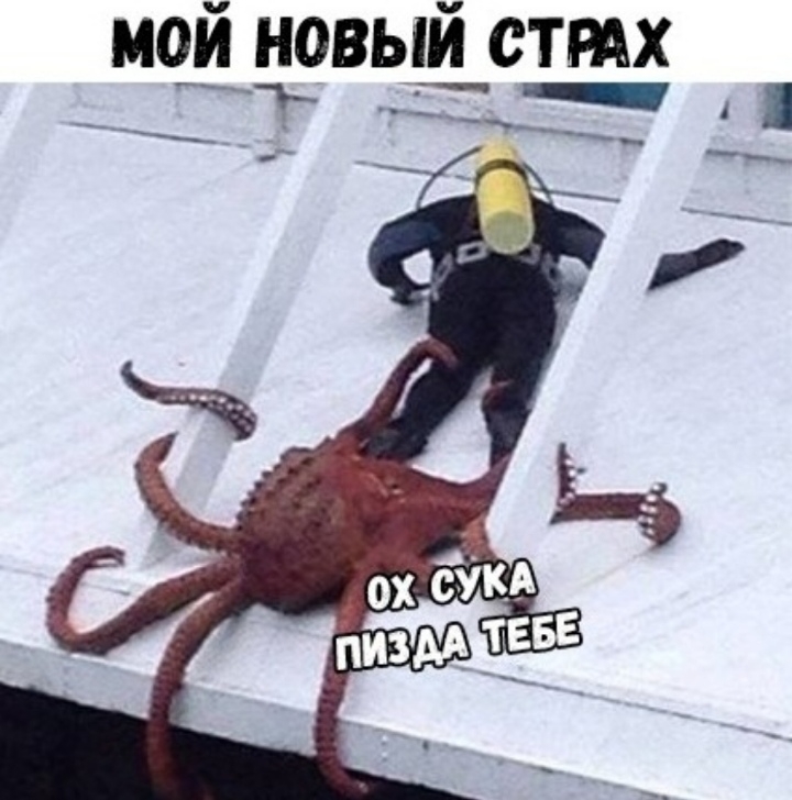 мой новый стих _ _ __ А _ __ __ _