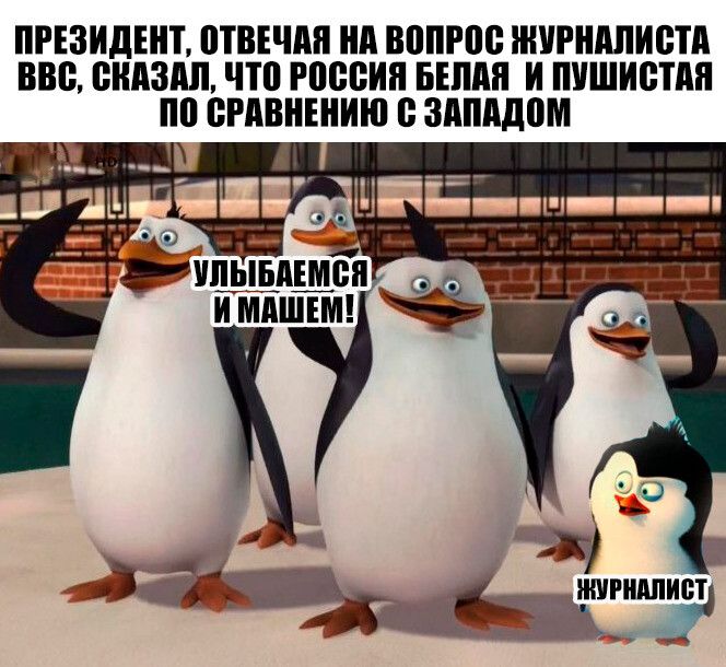 ПРЕЗИДЕНТ ПТВЕЧАИ ИА ВПЛРПС ЖУРНАЛИСТА ВВВ ВИАЗАЛ ЧТП РШЮИЯ БЕЛАЯ И ПУШИВТАЯ ВРАВНЕНИЮ здппдом і
