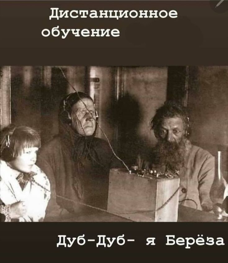 дистанционное обучение дубдуб я Берёза