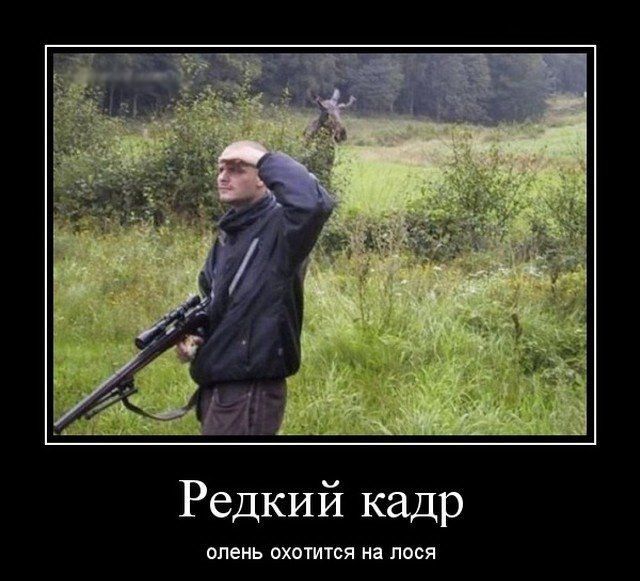 Редкий кадр олень ОХОТИТСЯ на ПОСЯ