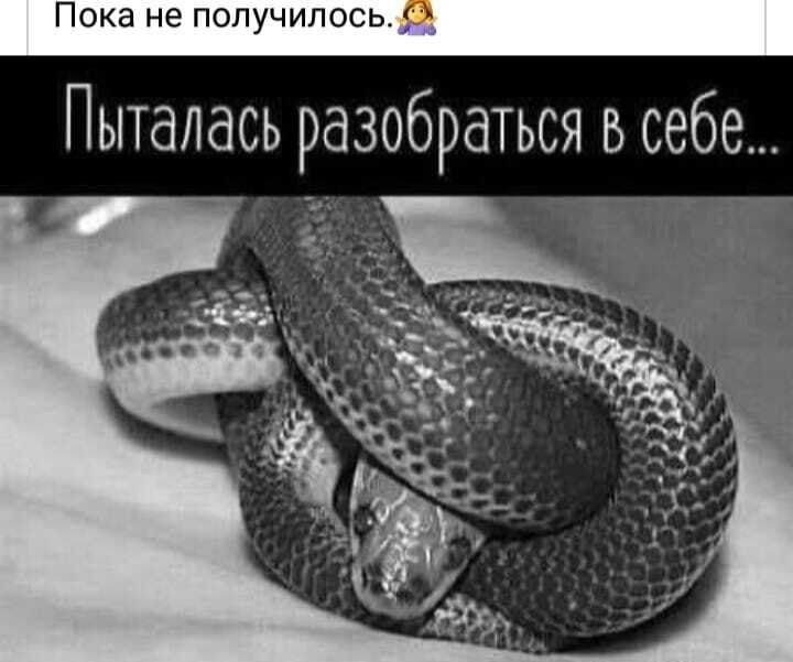 Пыталась разобраться в себе
