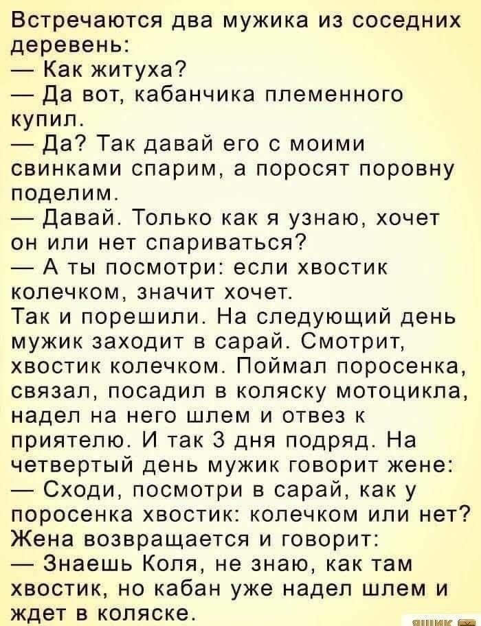 Встречаются два мужика из соседних деревень Как житуха Да вот кабанчика племенного купил Да Так давай его с моими свинками спарим а поросят поровну поделим Давай Только как я узнаю хочет он или нет спариваться А ты посмотри если хвостик колечком значит хочет Так и порешили На следующий день мужик заходит в сарай Смотрит хвостик колечком Поймал поросенка связал посадил в коляску мотоцикла надел на 