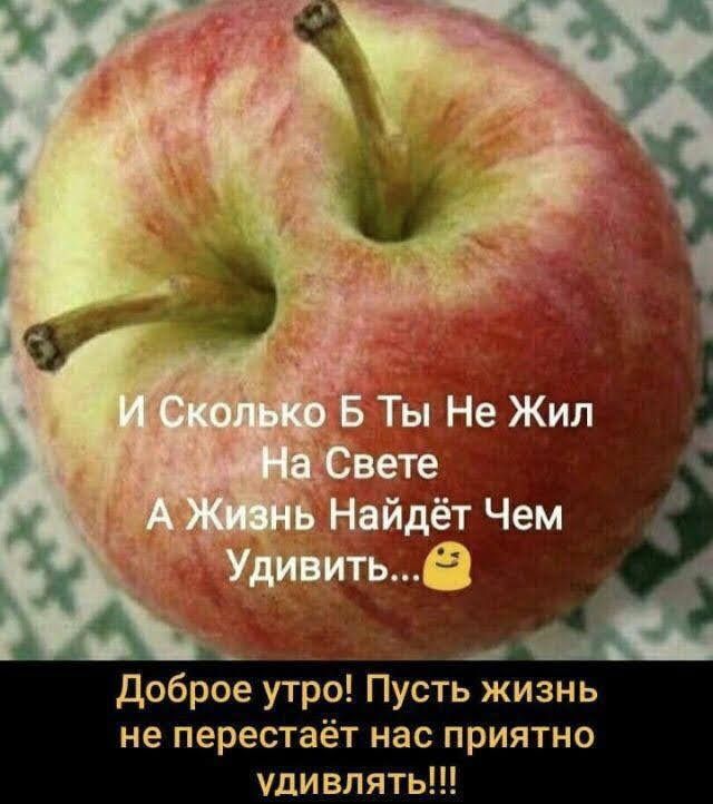 не перестаёт нас приятно удивлять