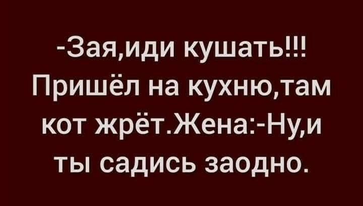 Заяиди кушать Пришёл на кухнютам кот жрётЖена Нуи ты садись заодно