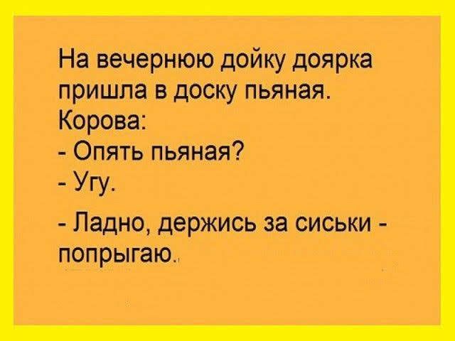 На вечернюю дойку доярка пришла в доску пьяная Корова Опять пьяная Угу Ладно держись за сиськи попрыгаю