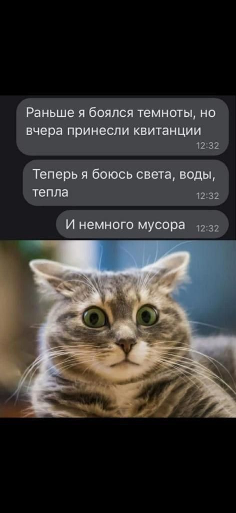 Раньше я боялся темноты но вчера принесли КВИТЗНЦИИ 1232 Теперь я боюсь света воды тепла 1232 И немного мусора 1231