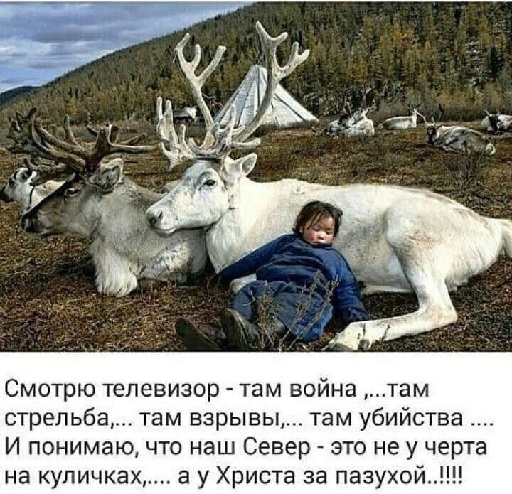 Смотрю телевизор там война там стрельба там взрывы там убийства И понимаю что наш Север это не у черта на купичках а у Христа за пазухой