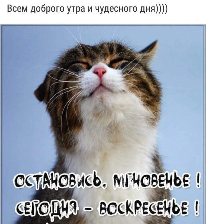 Всем доброго утра и чудесного дня ОстдчОвись мглоёвчы сЕГЁОАДЧЧ ВОСКРЕЁЧЬЕ