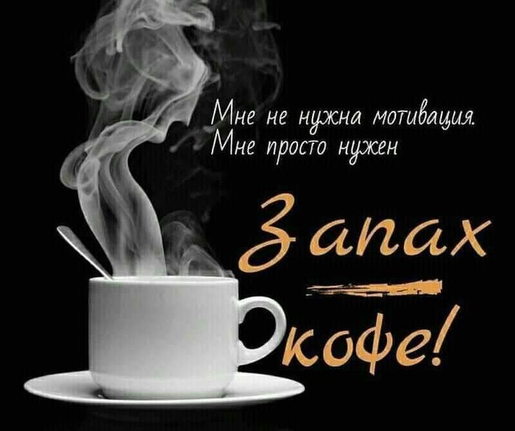 Мне не кухни мотибщыл Мне просто нужен