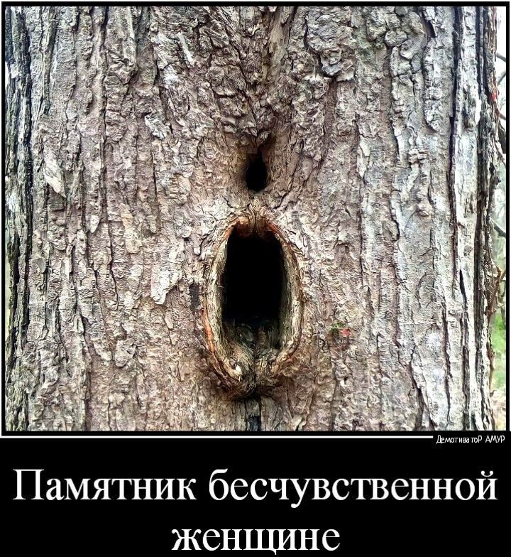 Памятник бесчувственной женщине