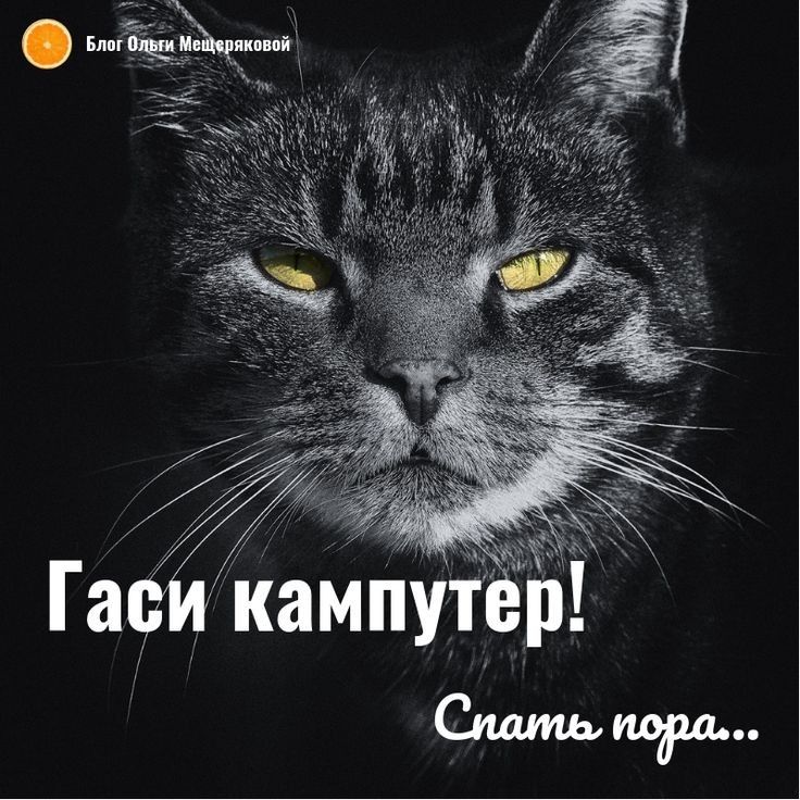 путр Гаси ка оо