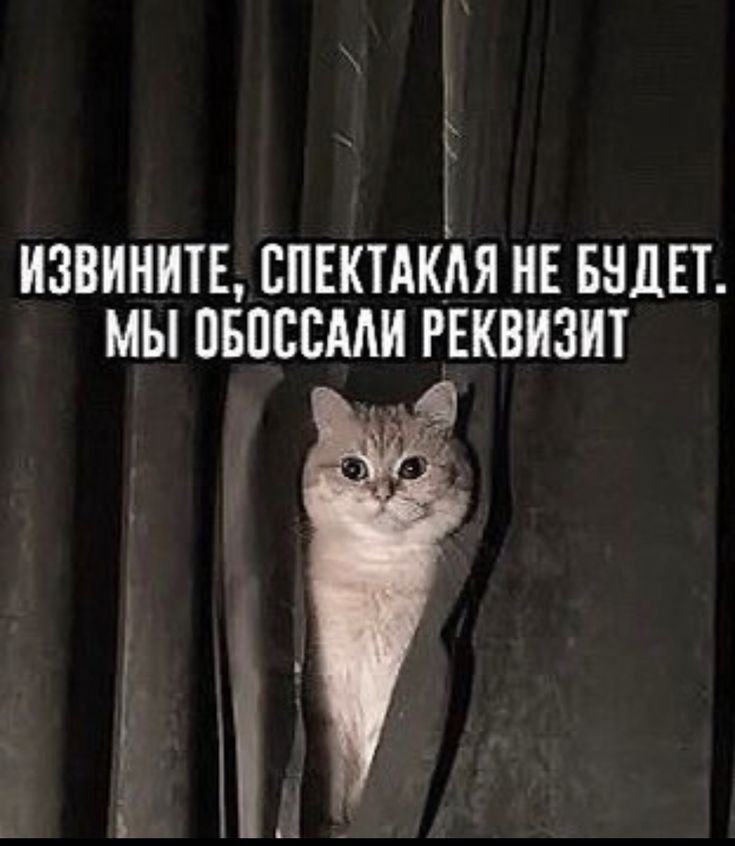 ИЗВИНИТЕ СПЕКТАКАЯ НЕ БНДЕТ МЫ ВБПЕСМИ РЕКВИЗИТ