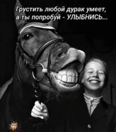 Г пустить любой дурак умеет агы попробуй улывнись