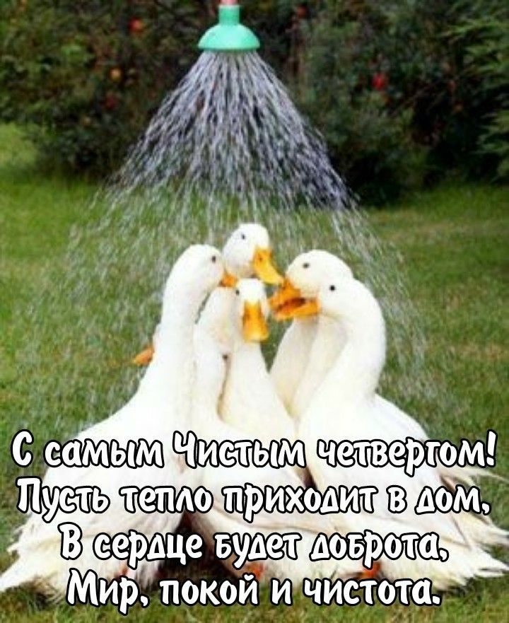 с самым Чтистым четв усть тетю приходит 83 дом еердце Будет доброта _ Мир покой и чистота