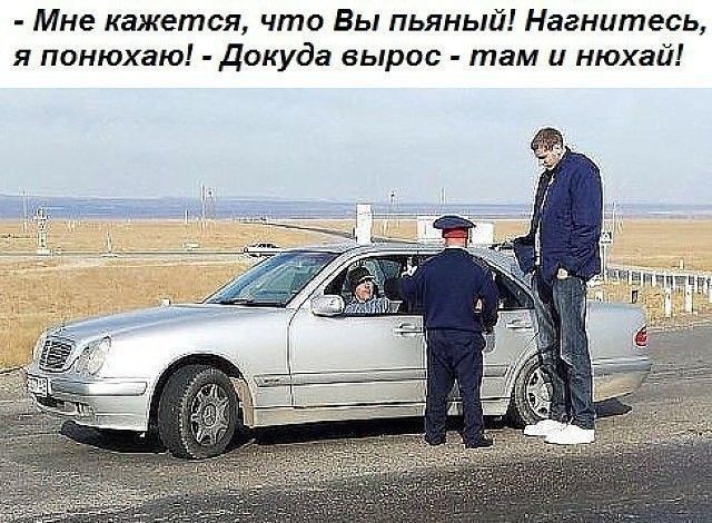Мне кажется что Вы пьяный Нагнитесь я понюхаю Докуда вырос там и нюхай