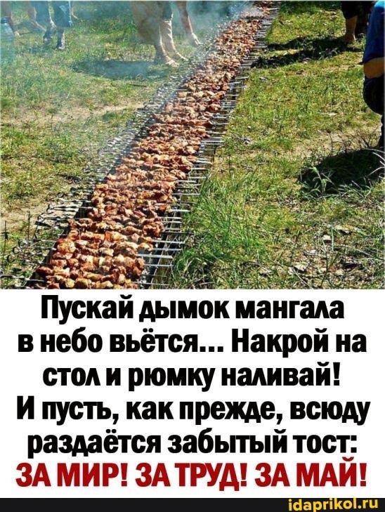 Пускай дымок мангада в небо вьётся Накрой на стол и рюмку наливай и пусть__ как прет всюду раздаётся забьпый тост 3А МИР ЗАТРУА ЗА МАЙ