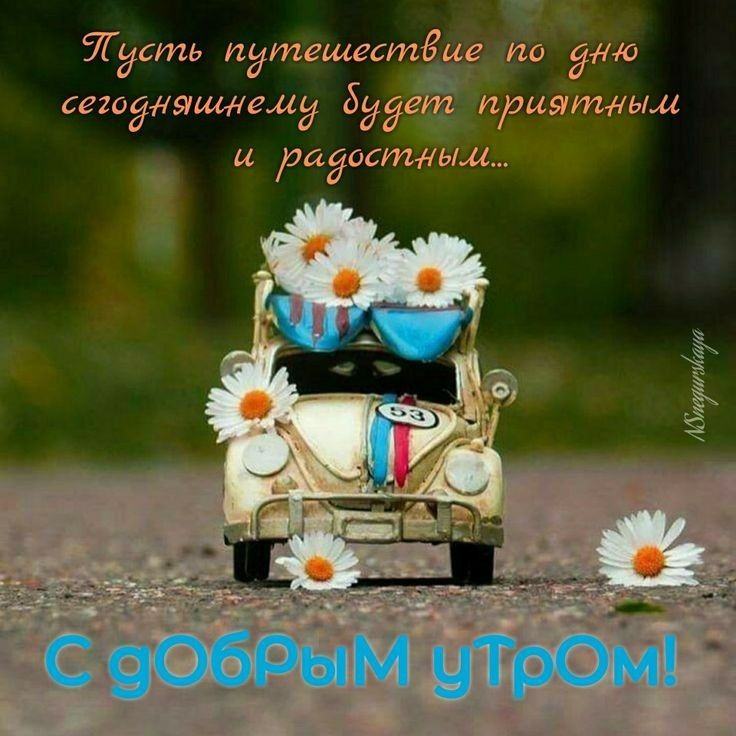 Идешь путешестёцедпо это сегодняшнему Будет приятным ц радостдыци 966дім утро д