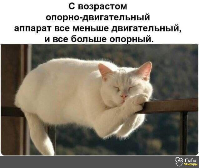 С возрастом опорно двигательный аппарат все меньше двигательный и все больше опорный