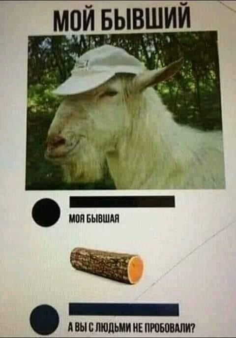 _ __ __ _ моявывшдя _ двыспюпьииивпюшит