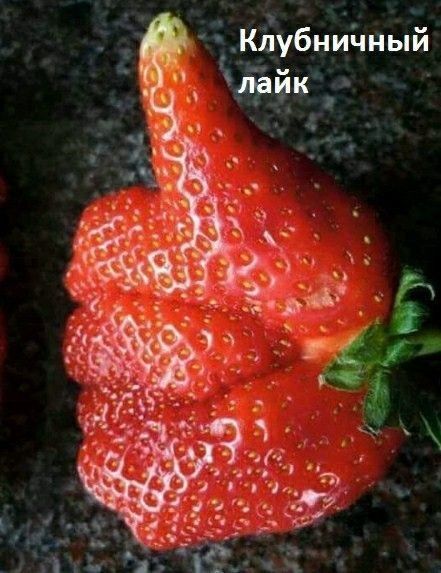 убнййны