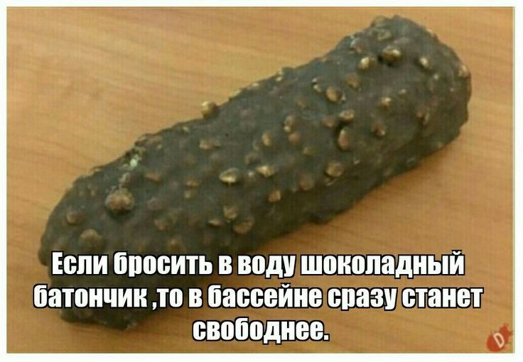 Если бпвсить в воду шпиппадиый Патпичии то в бассейне ппазу станет свободнее