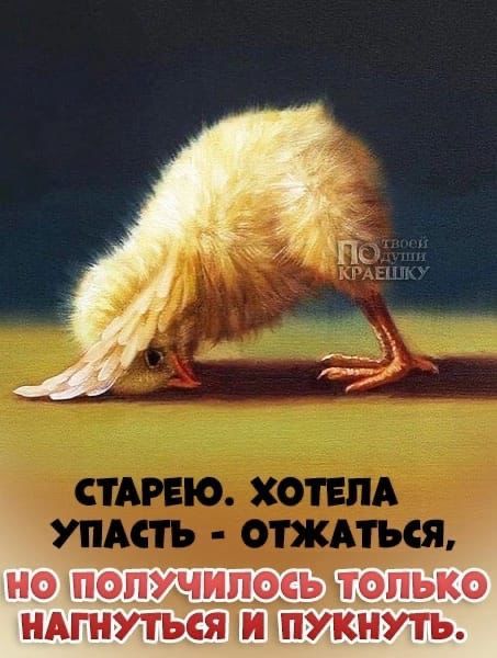 НО ПОПУЧИПОСЪ ТОЛЬКО НАГНУТЬСЯ И ПУКНУТЬ