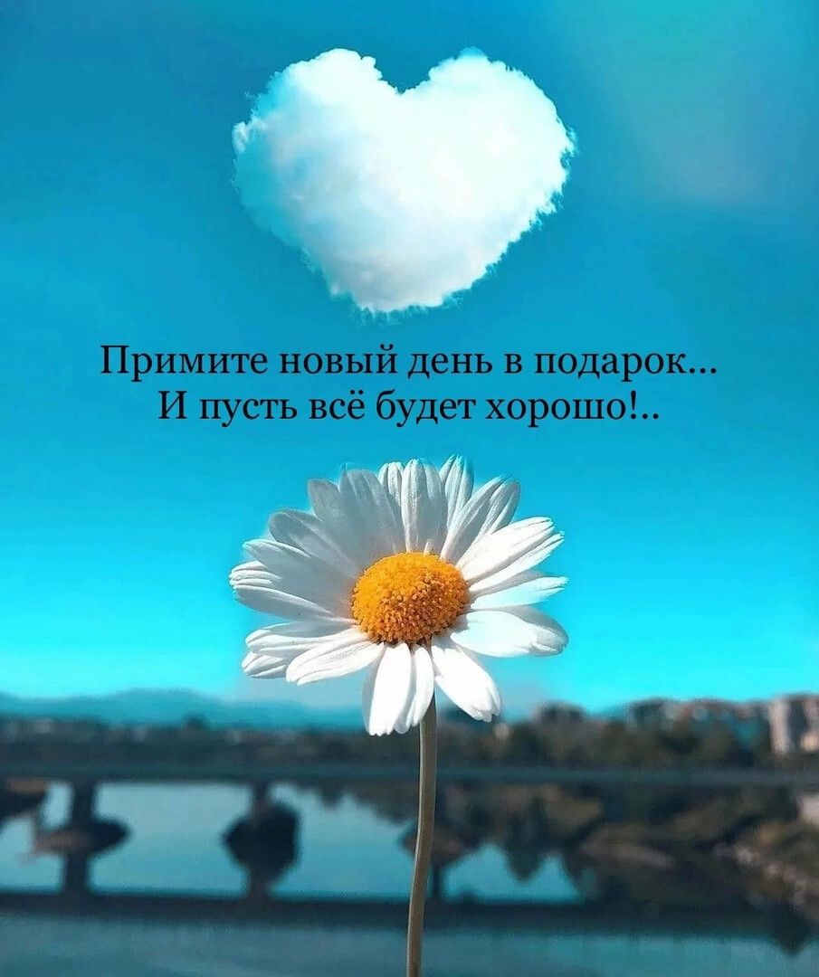 Примите новый день в подарок И пусть всё будет хорошо