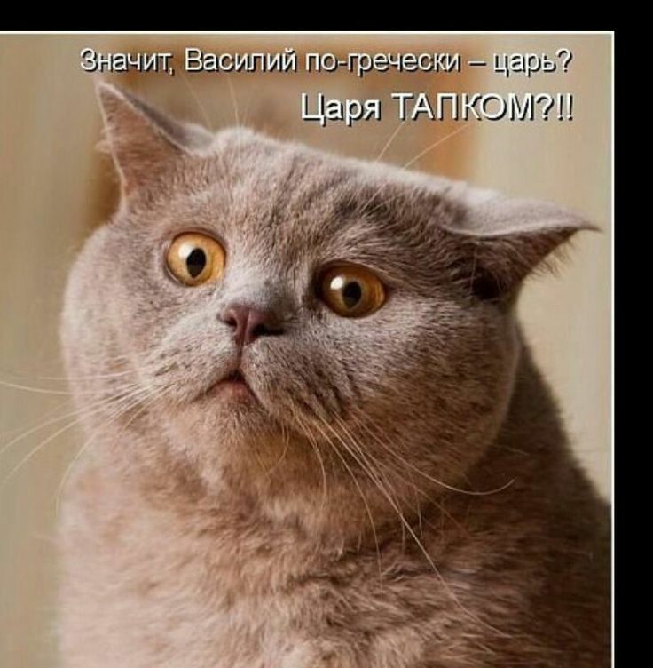 м ЛП ЁЗЛШЩЙ по гр ЗЪИ ЦЕ Царя ГАПКШГП