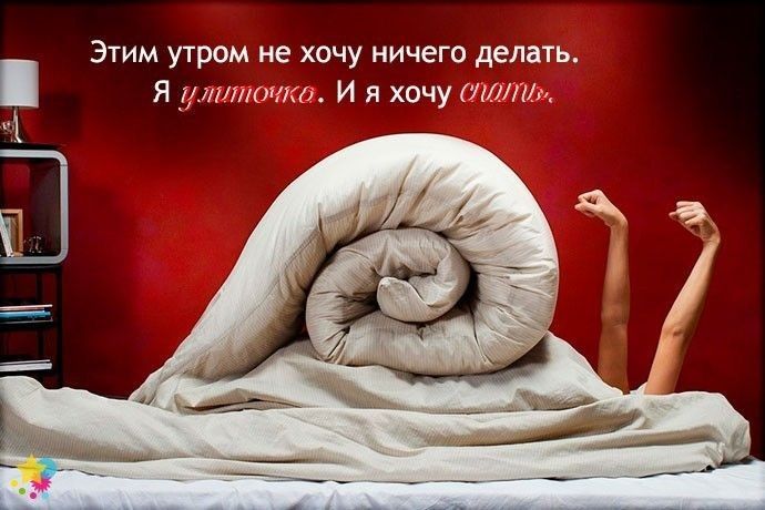 Этим утром не хочу ничего делат Я уминтит И я хочу ттт