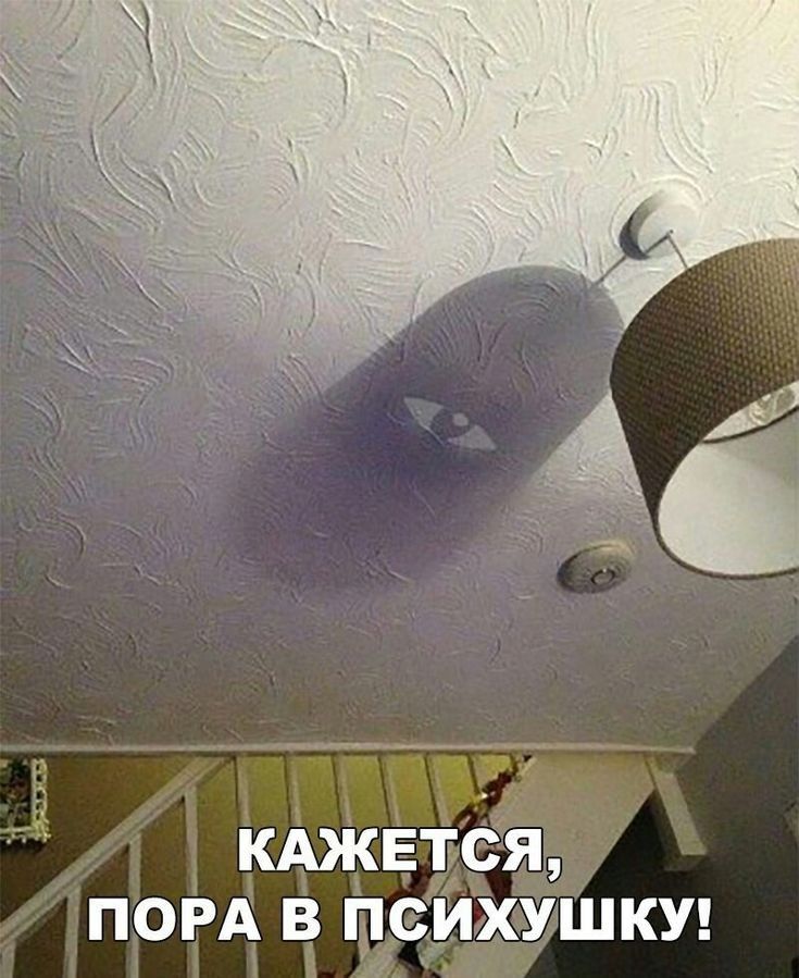 кАжЁтся ПОРА в психушки