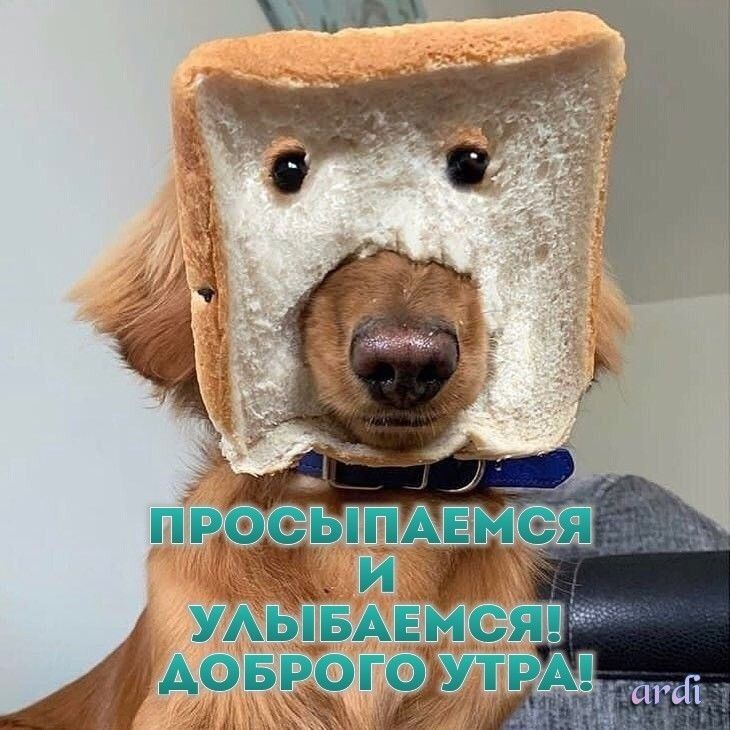 ЩИ УЛЬТБАЕМС ТДОБРО ГУТ