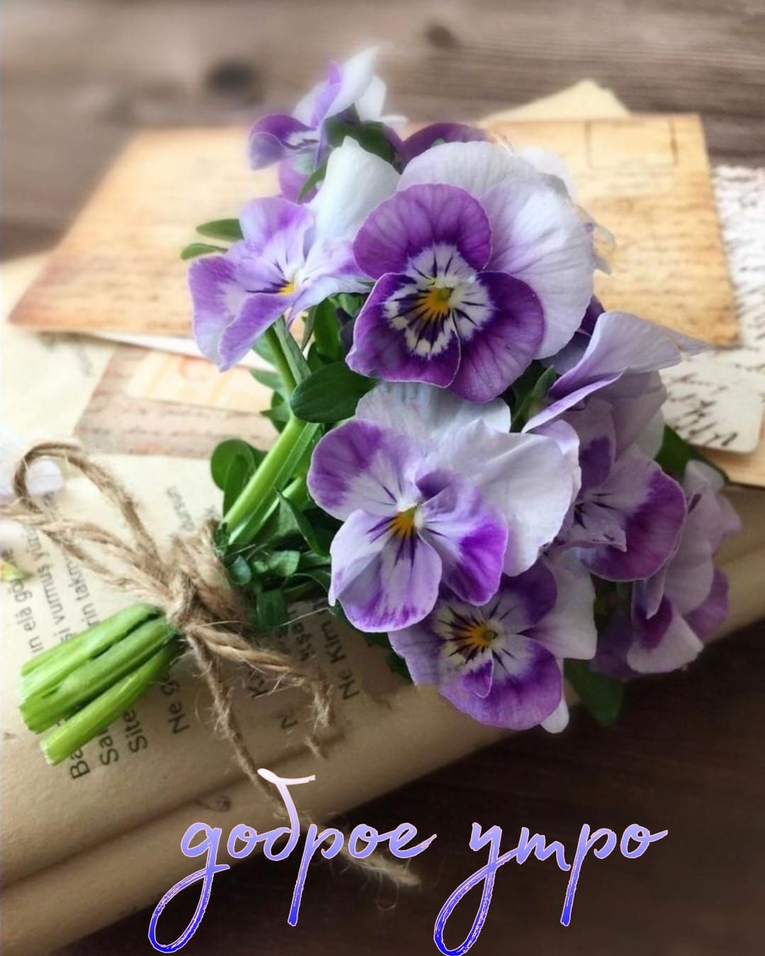 239 713 9ер 7
