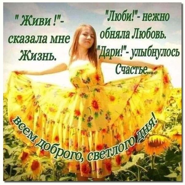 _ Ё сшавла мне 0611 060 355 Дарт 6НЬ