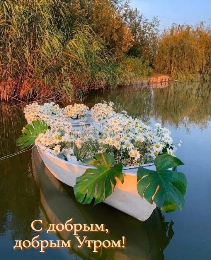 Сдобрым добЁЁЧх Утром