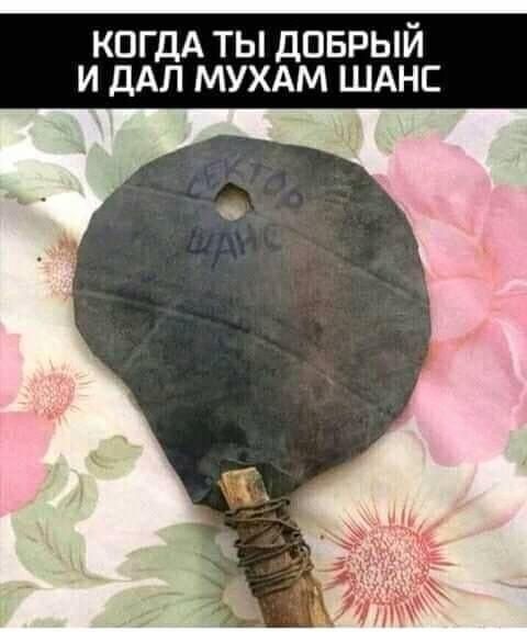 КОГДА ты дпврый и ДАП мухдм ШАНС