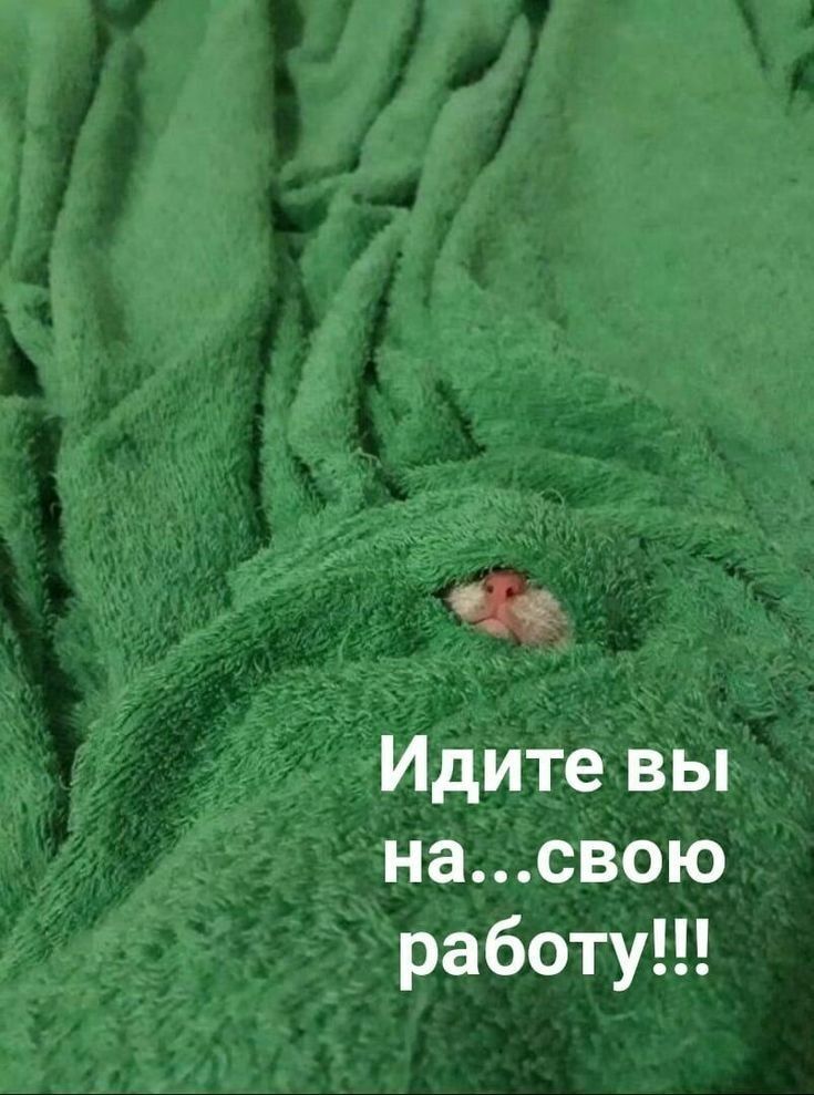 Чи Идите вы насвою работу