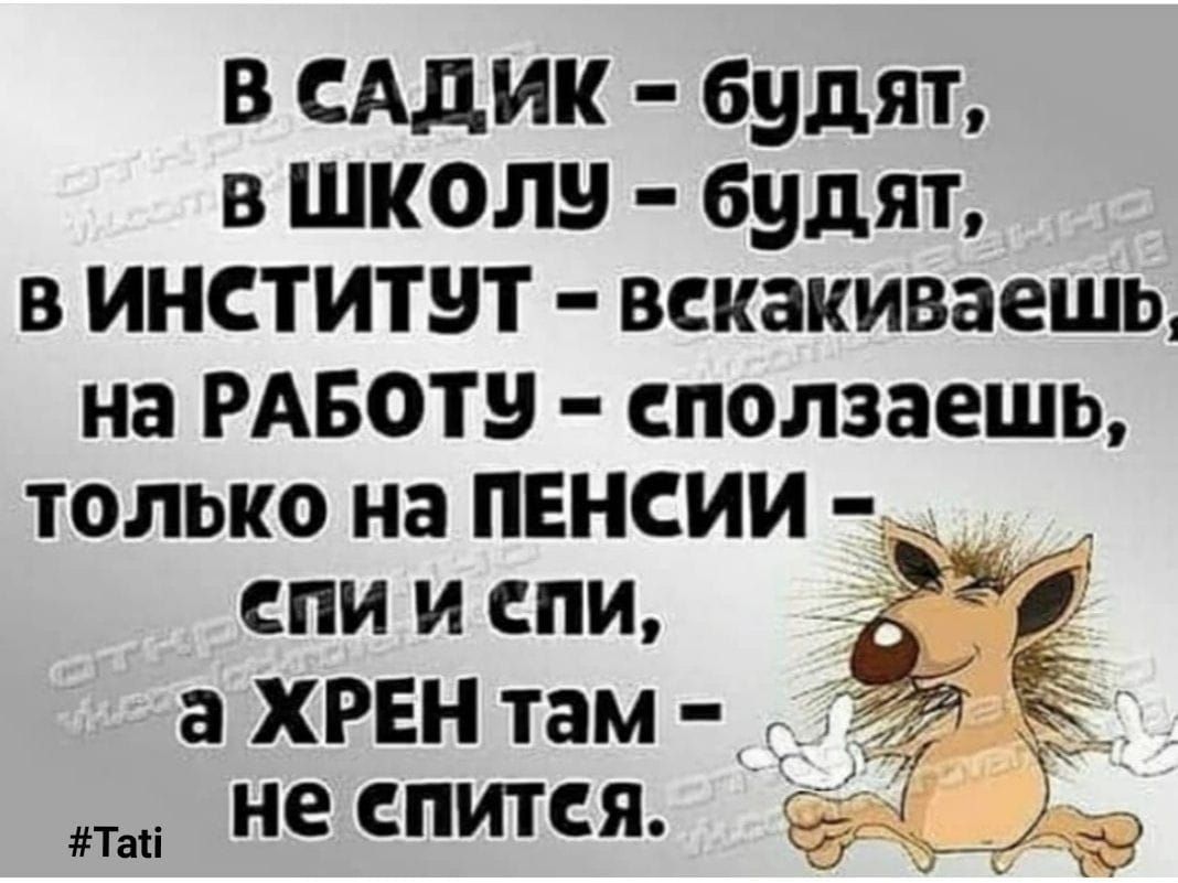 в Адик будят в школу будят в институт вскакиваешь на РАБОТ сползаешь только на пвнсии _ спи и спи аХРЕНтам д не СПИТСЯ Таіі